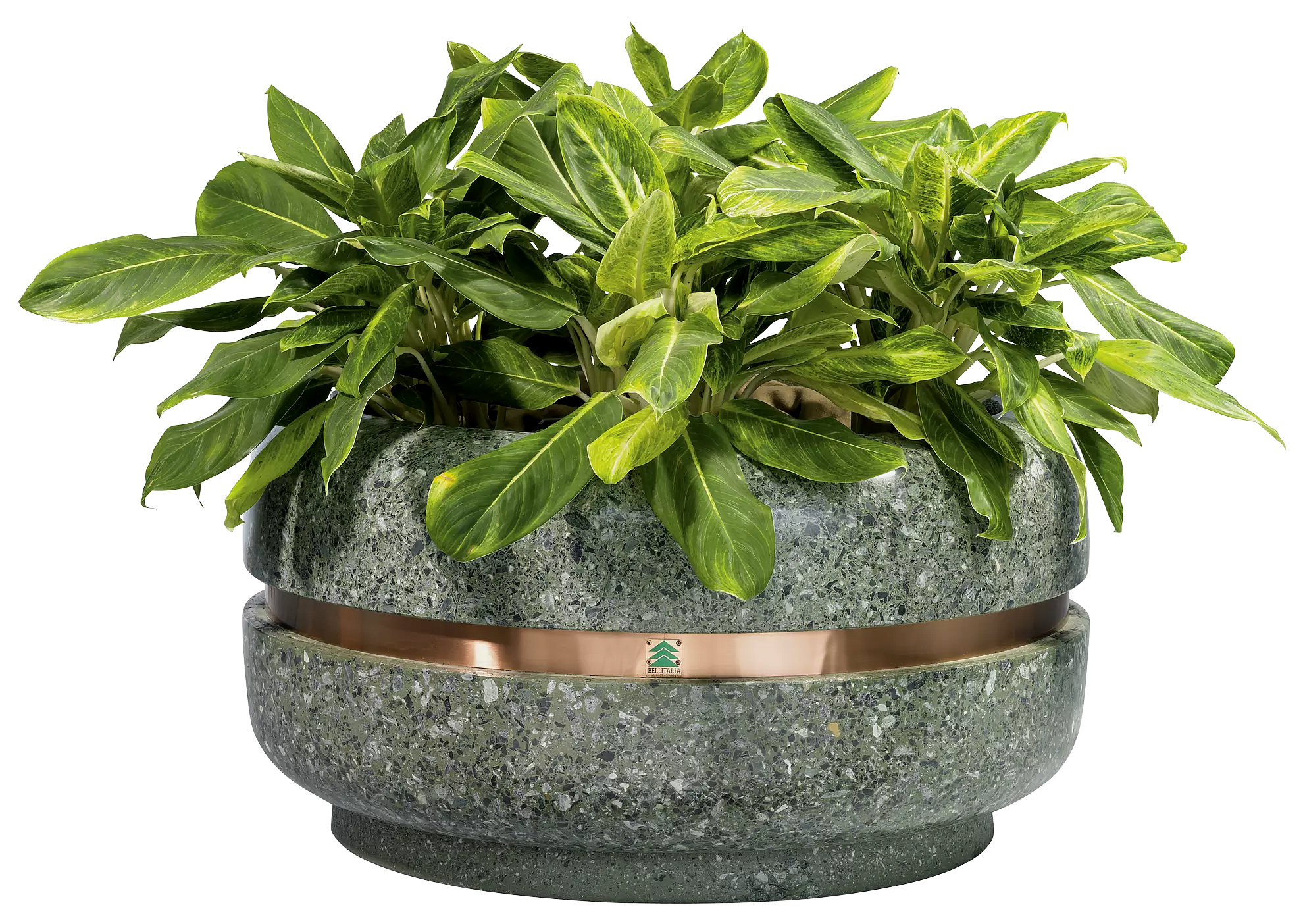 Vorschau: Pflanzbehälter TIMELESS Vorschau: Pflanzbehälter TIMELESS